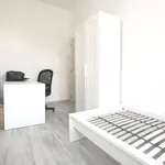 Rent a room in brussels