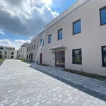 Rent 2 bedroom apartment of 55 m² in Berlin