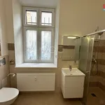 Rent 2 bedroom apartment in Tábor