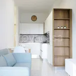 Rent 2 bedroom apartment of 45 m² in Monza