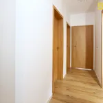 Rent 2 bedroom apartment of 69 m² in České Budějovice