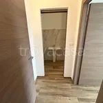 Rent 3 bedroom apartment of 62 m² in Cuneo