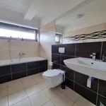 Pronajměte si 3 ložnic/e byt o rozloze 190 m² v Prague