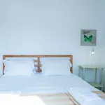 Alugar 1 quarto apartamento em lisbon