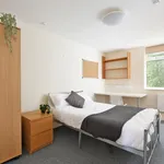 Rent 4 bedroom apartment in Sheffield