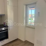 Rent 2 bedroom apartment of 50 m² in Roma