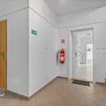 Rent 2 bedroom apartment of 61 m² in Náchod