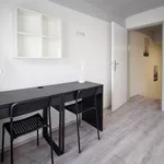 Rent 1 bedroom apartment in Brno