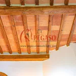 Rent 1 bedroom apartment of 35 m² in Pescia