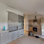 Rent 1 bedroom apartment of 40 m² in Bologna