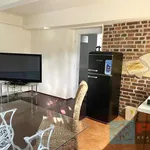 Rent 2 bedroom apartment of 75 m² in Praha