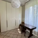 Rent 3 bedroom apartment of 100 m² in Torino