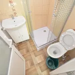 Rent 1 bedroom apartment of 20 m² in Timișoara