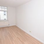 Rent 2 bedroom apartment of 48 m² in Chemnitz