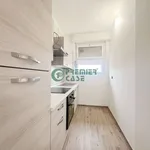 Rent 3 bedroom apartment of 85 m² in Torino