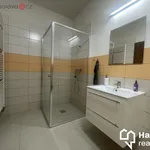 Rent 2 bedroom apartment of 57 m² in Bystřice pod Hostýnem