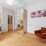 Rent 1 bedroom apartment of 27 m² in Kladno