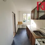 Pronajměte si 2 ložnic/e byt o rozloze 48 m² v Pilsen