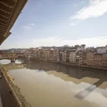 Rent 1 bedroom apartment in Florence