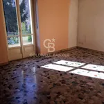 Rent 2 bedroom apartment of 55 m² in Torino