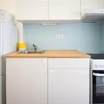 Rent 1 bedroom apartment in Brno