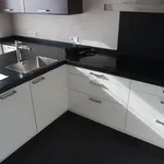 Rent 4 bedroom house of 179 m² in Eindhoven