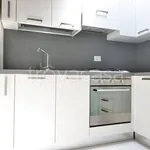 Rent 3 bedroom apartment of 50 m² in Vicenza