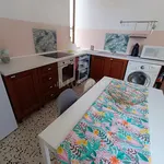 Rent 2 bedroom apartment of 60 m² in Brindisi