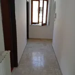 Affitto 3 camera appartamento di 100 m² in Vibo Valentia