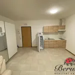 Rent 1 bedroom apartment of 33 m² in Prague