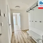 Rent 3 bedroom apartment in Liberec