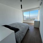 Rent 3 bedroom apartment of 64 m² in MARSEILLE 08