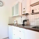 Rent 1 bedroom house of 34 m² in Cologne