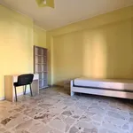 Rent 3 bedroom apartment of 80 m² in catanzaro