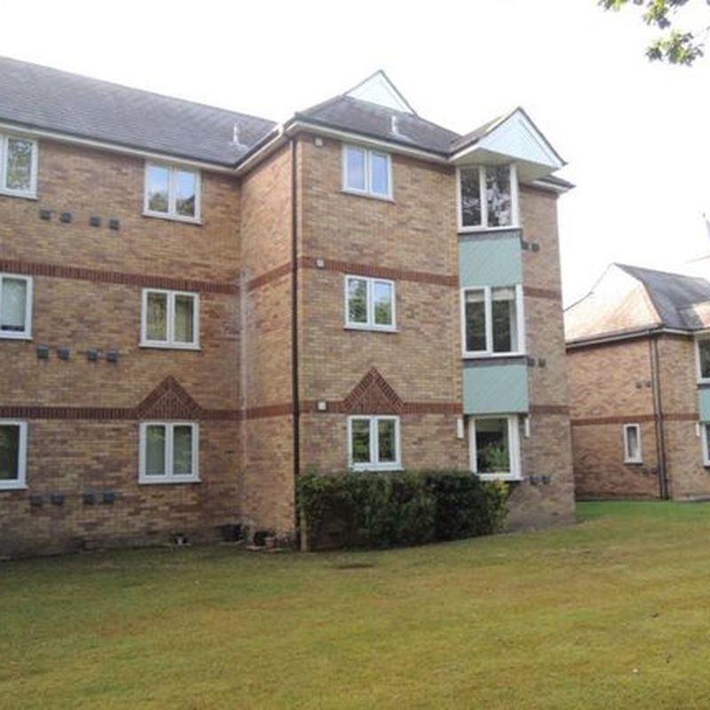 Flat to rent in Bignell Croft, Highwoods, Colchester CO4 Hornestreet