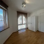 Rent 1 bedroom apartment in Leuven