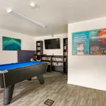 Rent 1 bedroom apartment in Sheffield