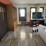 Rent 2 bedroom apartment of 156 m² in Νησί