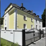 Rent 1 bedroom apartment of 40 m² in Frankfurt