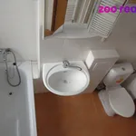 Rent 1 bedroom apartment of 38 m² in Chomutov