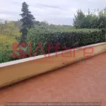 Affitto 5 camera casa di 100 m² in Casciana Terme Lari