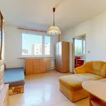 Rent 1 bedroom apartment in Ústí nad Labem