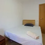 Rent a room in valencia