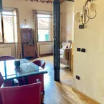 Rent 1 bedroom apartment of 65 m² in florence