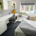 Rent 1 bedroom student apartment of 26 m² in Coventry