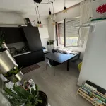 Rent 2 bedroom apartment of 110 m² in milan