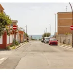 Rent 3 bedroom apartment of 65 m² in Anzio