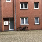 Rent 1 bedroom apartment in Leuven