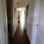 Rent 5 bedroom apartment of 75 m² in Capannori