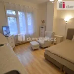 Rent 1 bedroom apartment of 30 m² in Prague